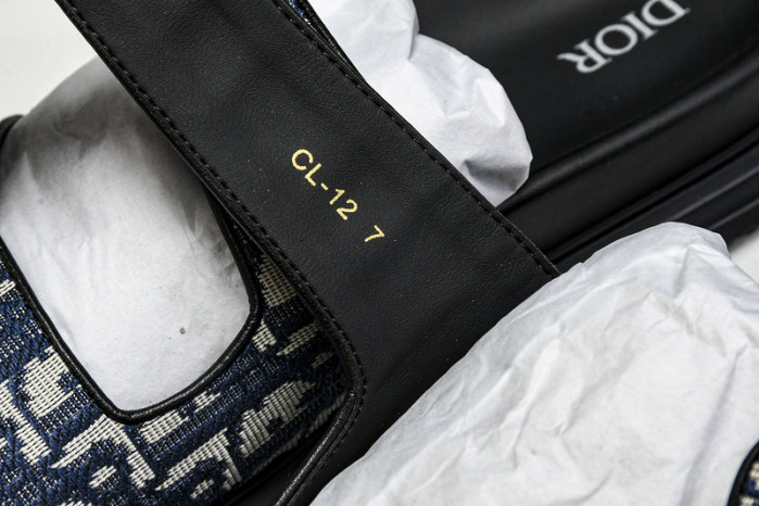 D1R* SLIDE copshoe DR-SLIDE 013