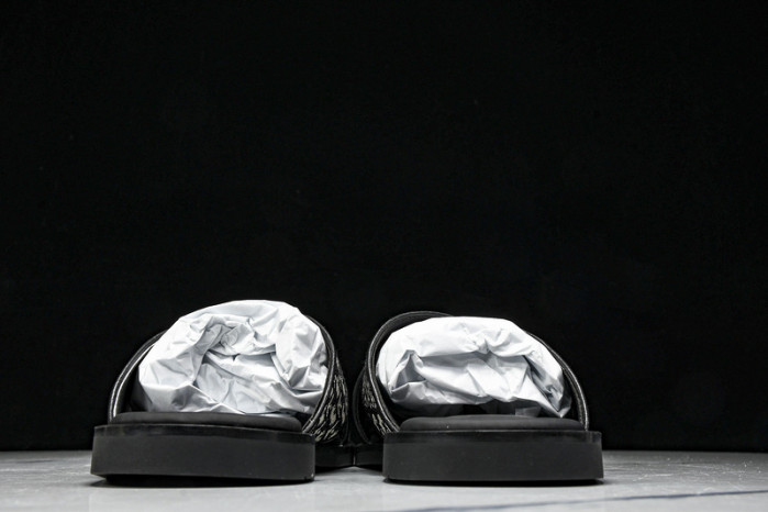 D1R* SLIDE copshoe DR-SLIDE 020