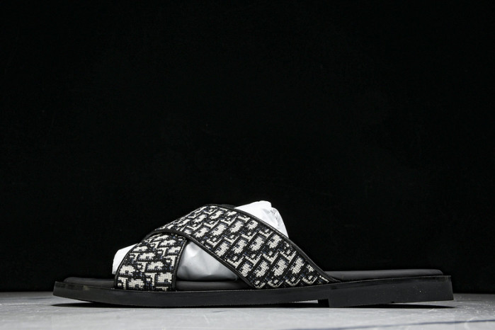 D1R* SLIDE copshoe DR-SLIDE 020