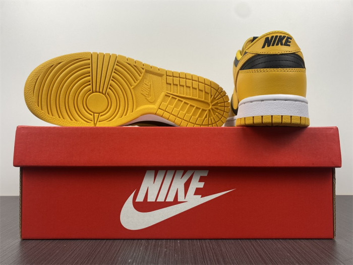 nike dunk low goldenrod (2021) - dd1391-004