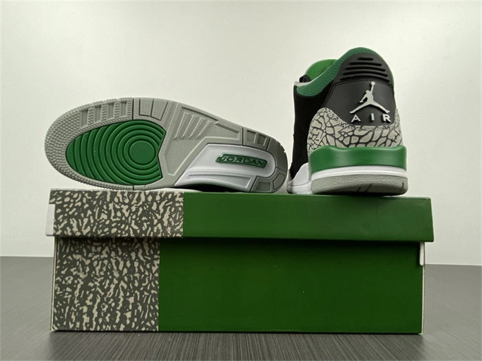 SunProtective Jordan3 Pine Green CT8532- 3838