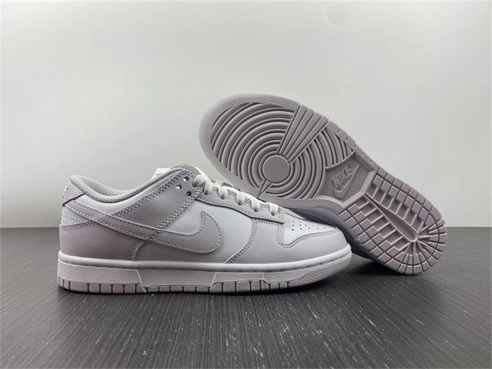 Nike Dunk Low Venice DD1503- Packable 4800